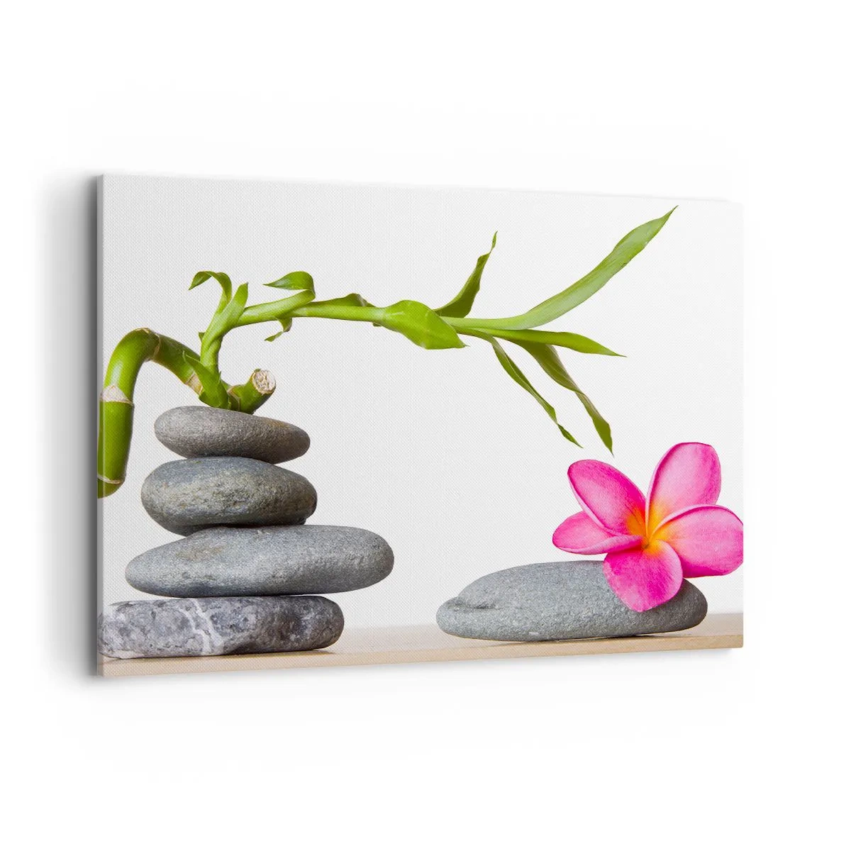 Canvas picture - Colours of Life - 100x70 cm