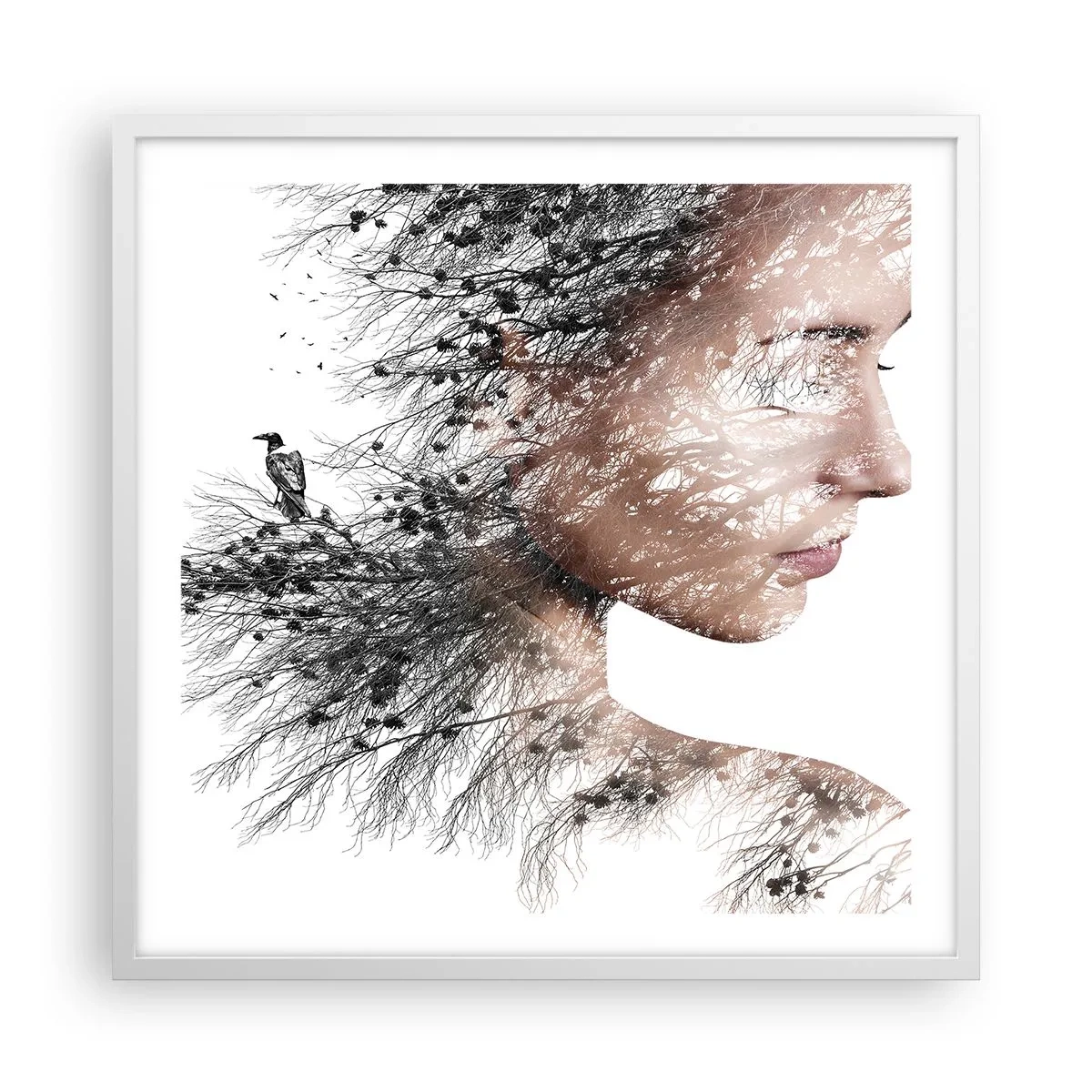 Poster in white frmae - Spirit of a Forest - 60x60 cm
