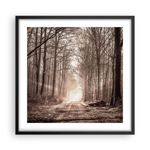 Poster in black frame - Cathedral of the Forest - 50x50 cm