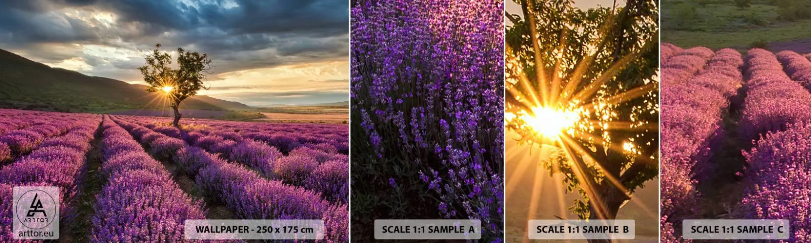 Photo Wallpaper Sample Self-Adhesive Deluxe Sticker - Lilac Coloured Aroma - Landscape, Lavender, Provence - 100x30 cm
