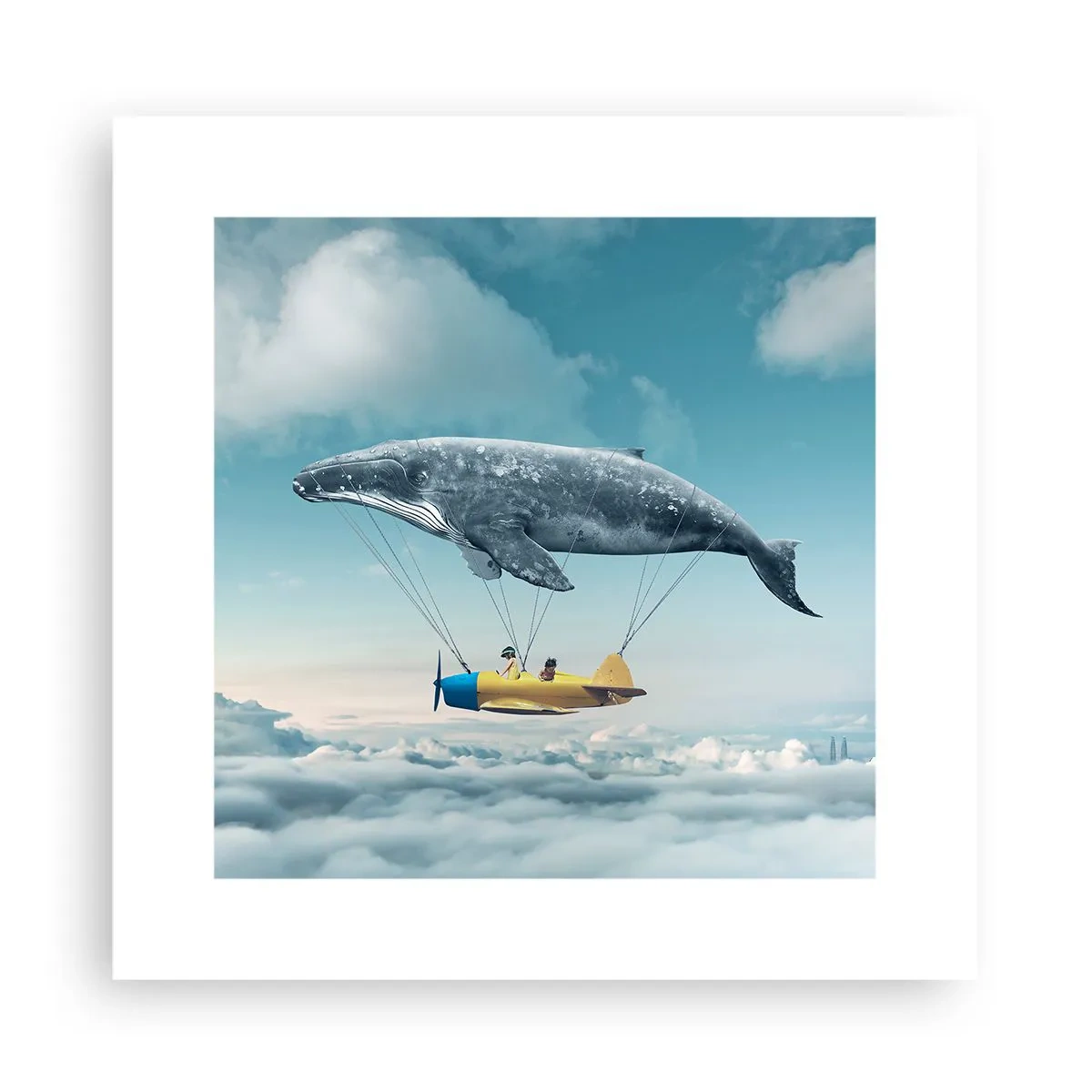 Poster - Why Not? - 30x30 cm