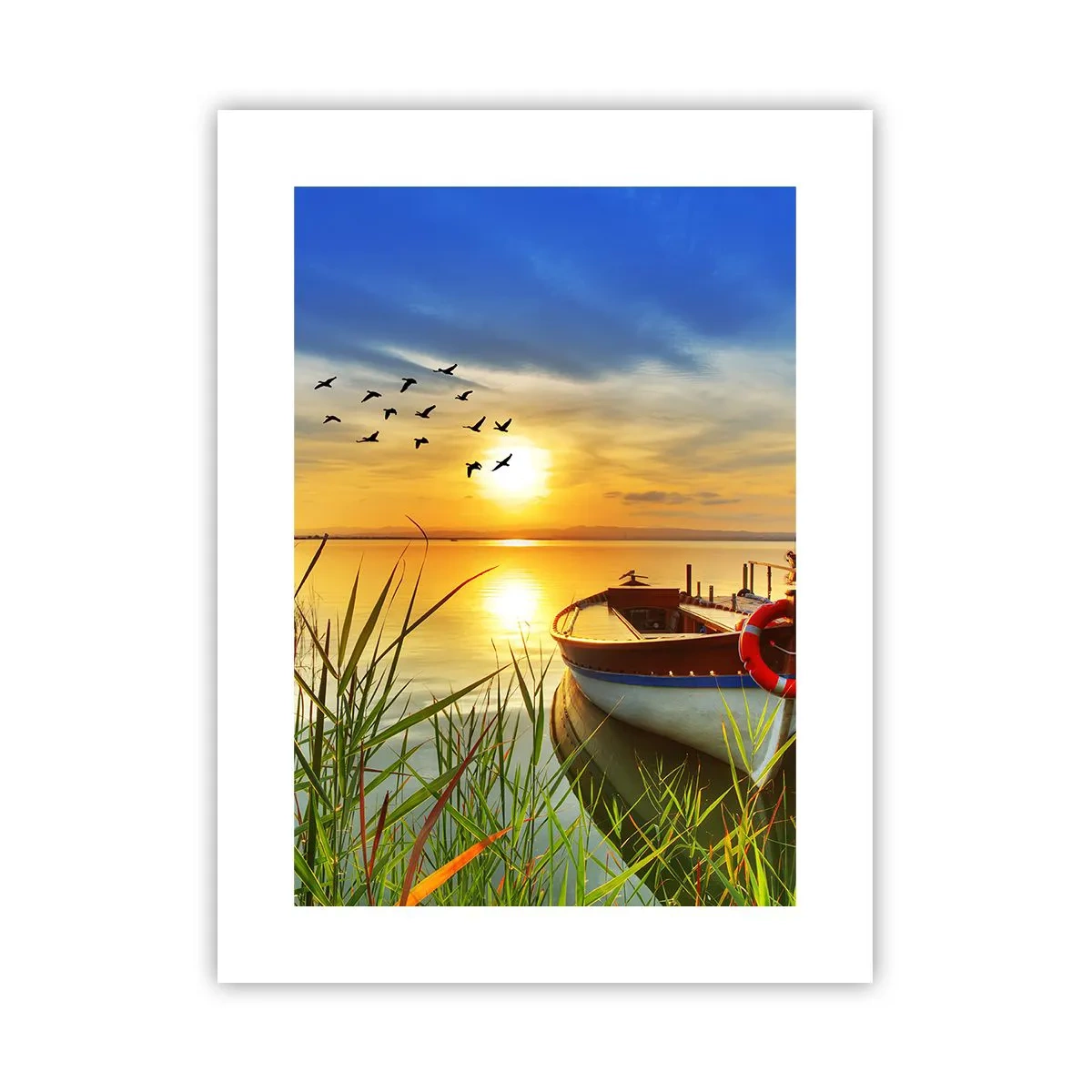 Poster - Cormorants Are Flying Away - 30x40 cm