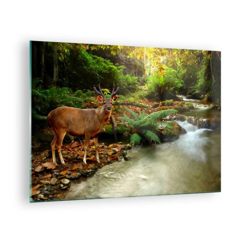 Glass picture - A deer by a stream in a sunlit forest - 70x50cm - Wlecome to my World - Modern wall decoration for the living room and bedroom ARTTOR
