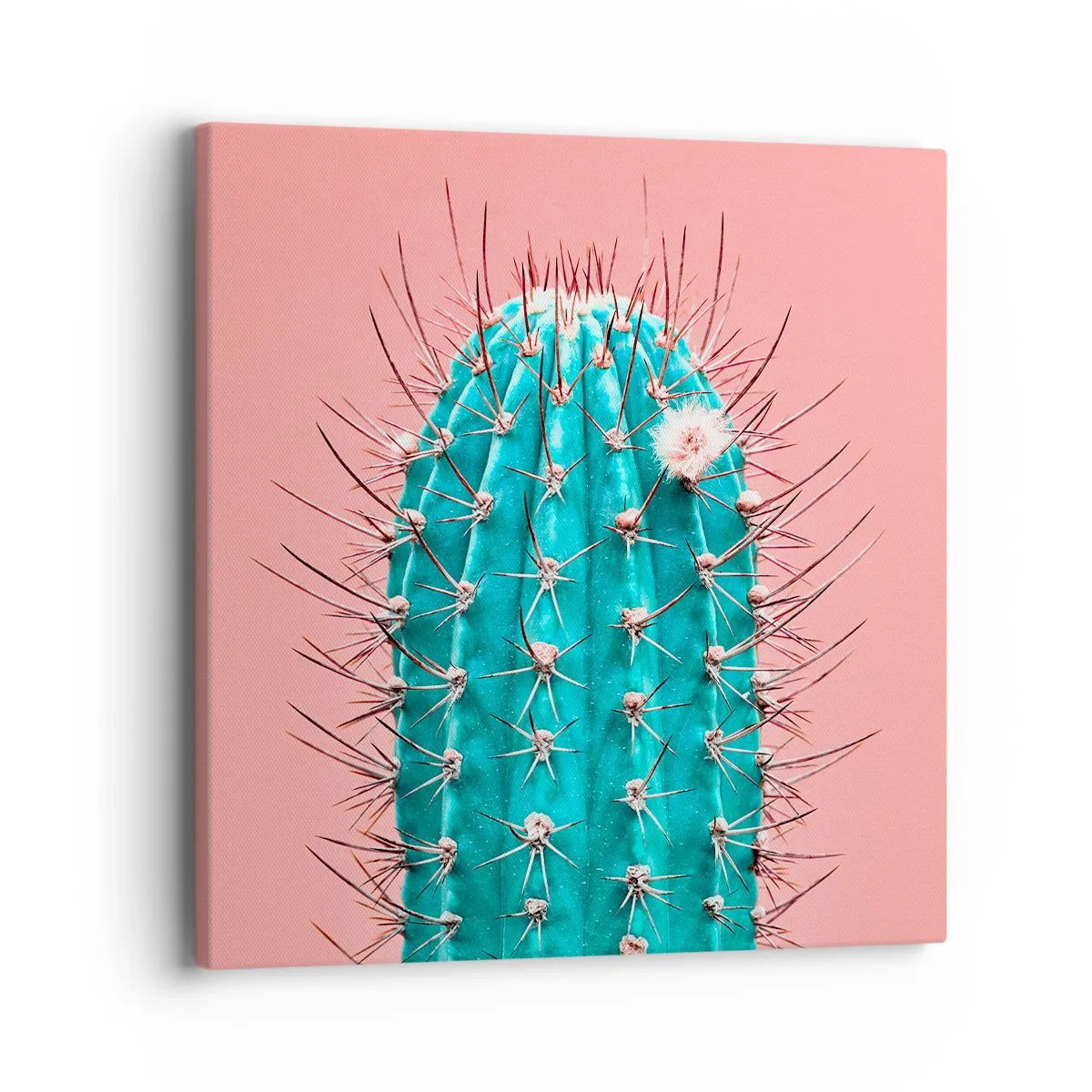 Canvas picture - Just Look - 40x40 cm