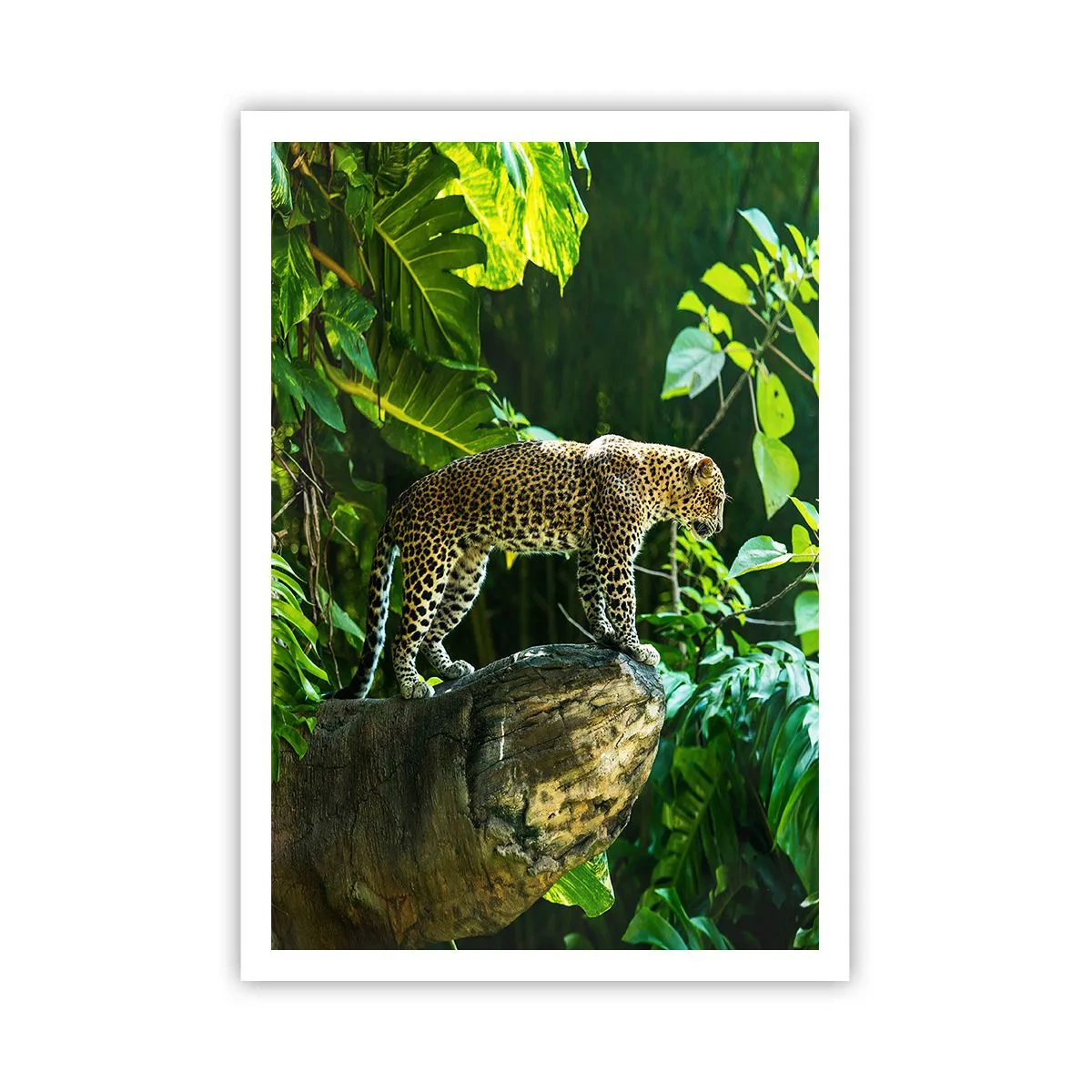 Poster - Going Hunting? - 70x100 cm