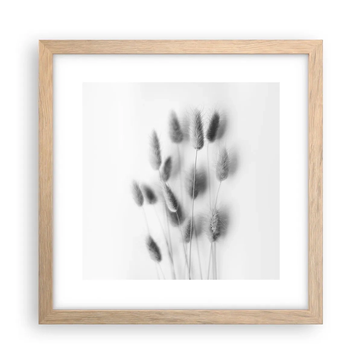 Poster in light oak frame - Her Softness Grass - 30x30 cm
