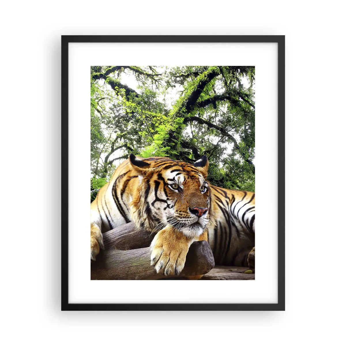 Poster in black frame - Best Regards - 40x50 cm