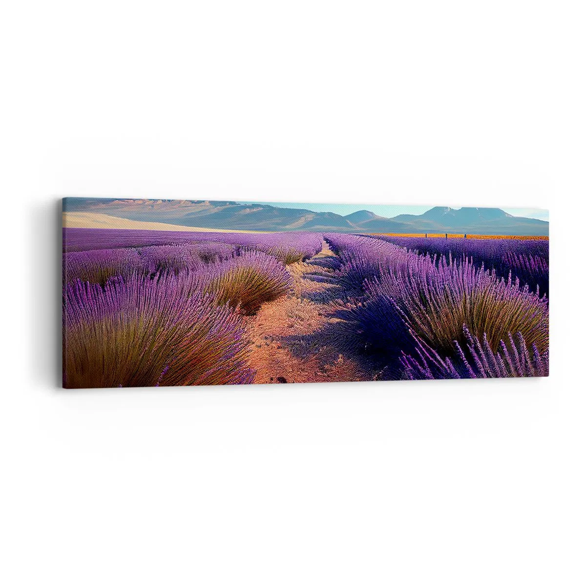 Canvas picture - Fragrant Fields - 90x30 cm