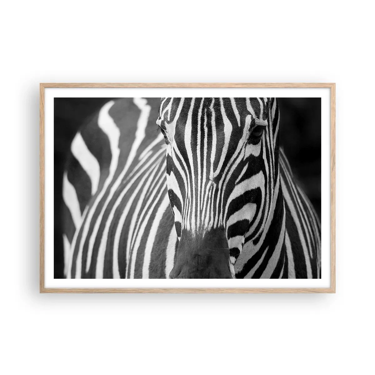 Poster in light oak frame - World Is Black and White - 100x70 cm