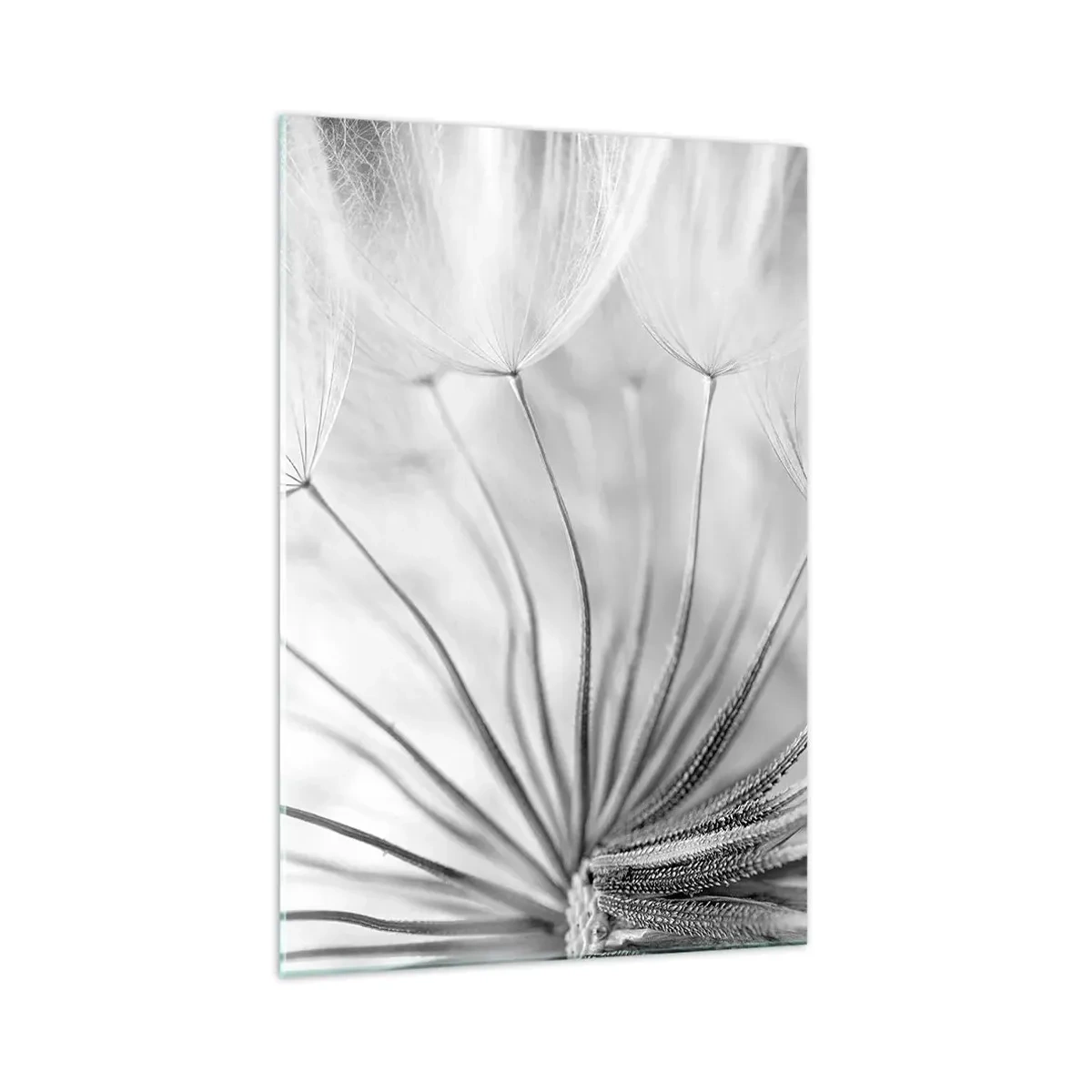 Glass picture - Dandelion Kites - 70x100 cm