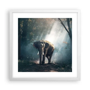 Poster in white frmae - Quiet Stroll - 40x40 cm