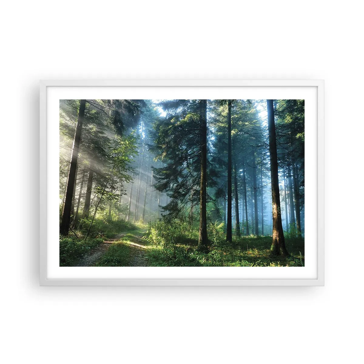 Poster in white frmae - Radiant at Dawn - 70x50 cm