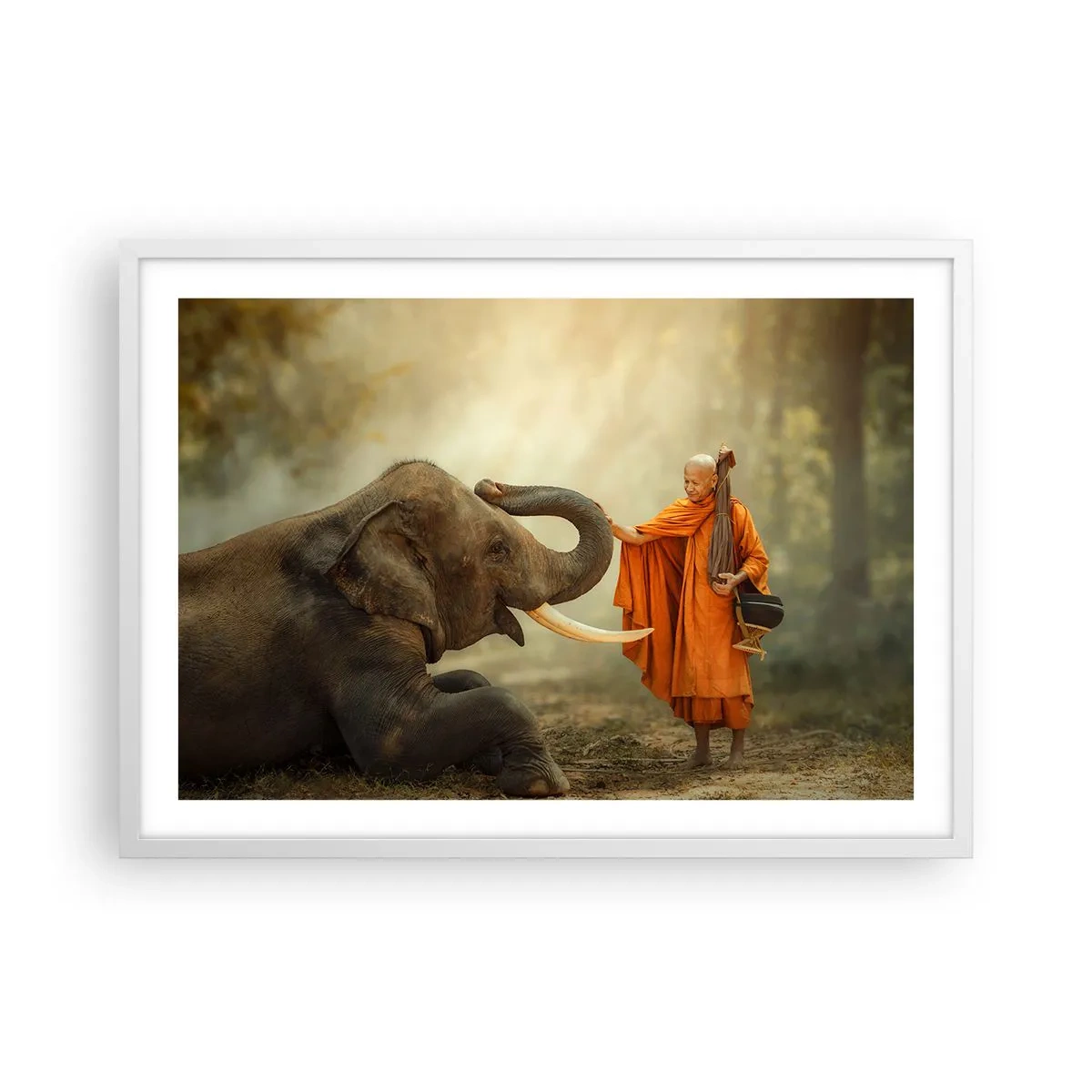 Poster in white frmae - Unexpected Meeting - 70x50 cm