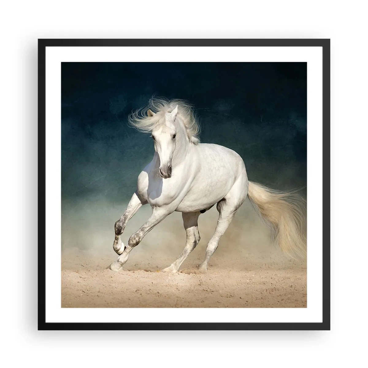 Poster in black frame - Freedom in a Pure State - 60x60 cm