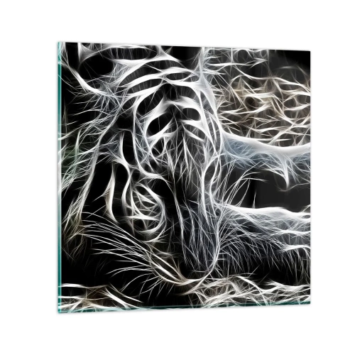 Glass picture - Study in Lightness of Cats - 40x40 cm