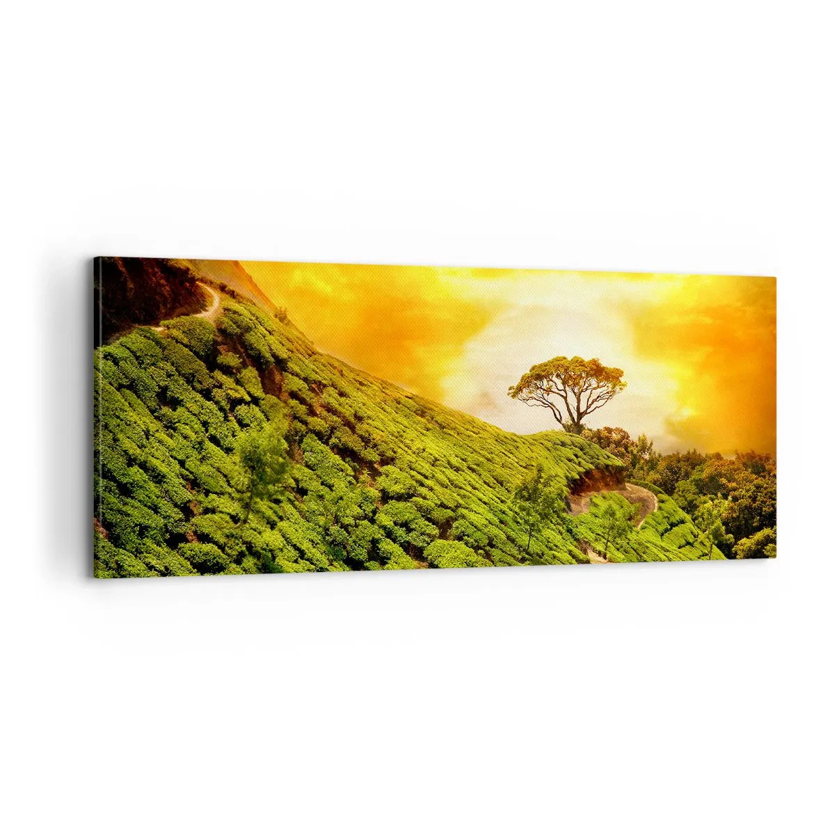 Canvas picture - Winding Path, Green Slope - 100x40 cm