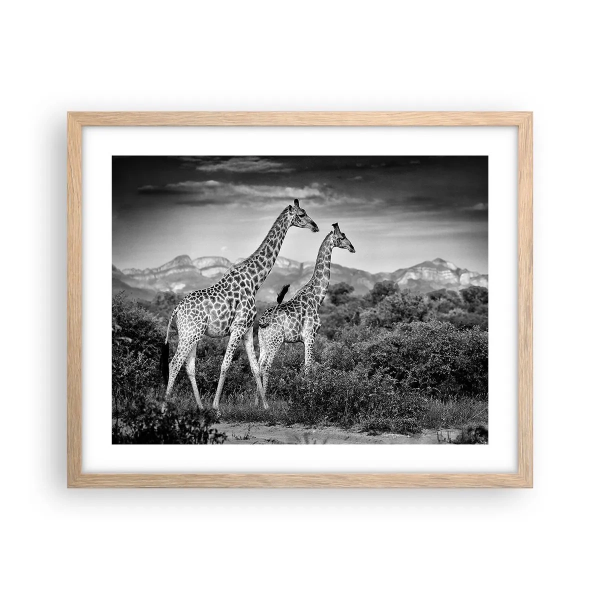 Poster in light oak frame - Higher Spheres in Africa - 50x40 cm
