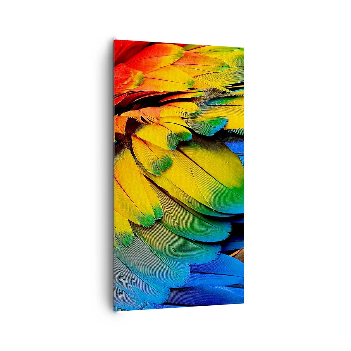 Canvas picture - Bird Of Paradise - 65x120 cm