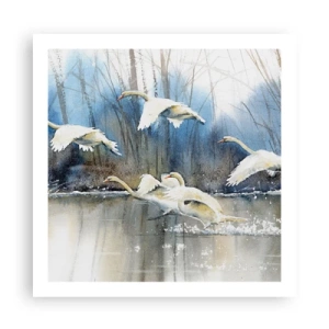 Poster - Like in a Fairy Tale about Wild Swans - 60x60 cm