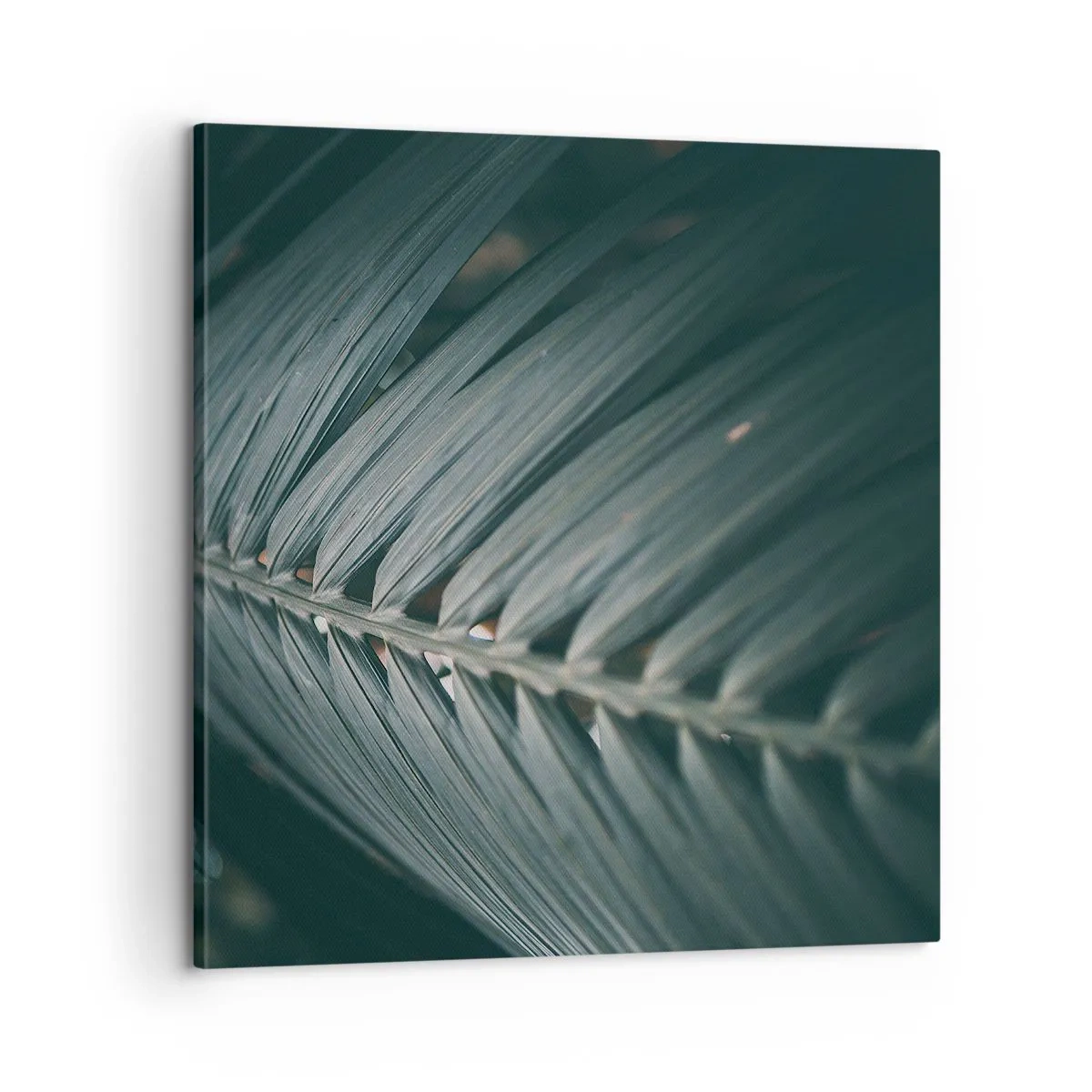 Canvas picture - Precision of Nature - 60x60 cm