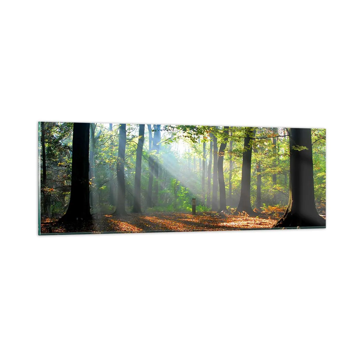 Glass picture - Highs And Lows - 90x30 cm