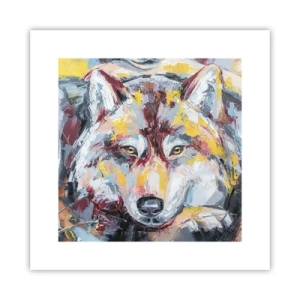 Poster - Wolf Eyes - 30x30 cm
