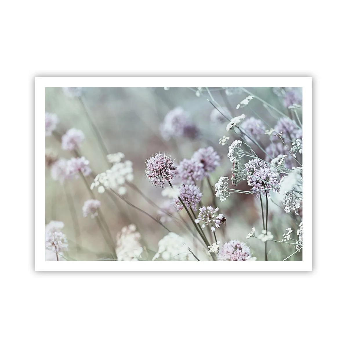 Poster - Sweet Filigrees of Herbs - 100x70 cm