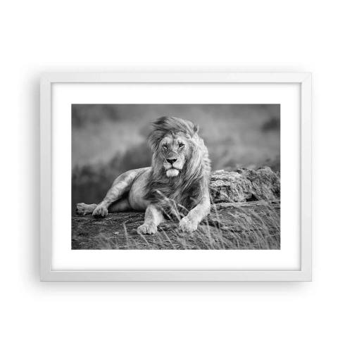 Poster in white frmae - Royal Siesta - 40x30 cm