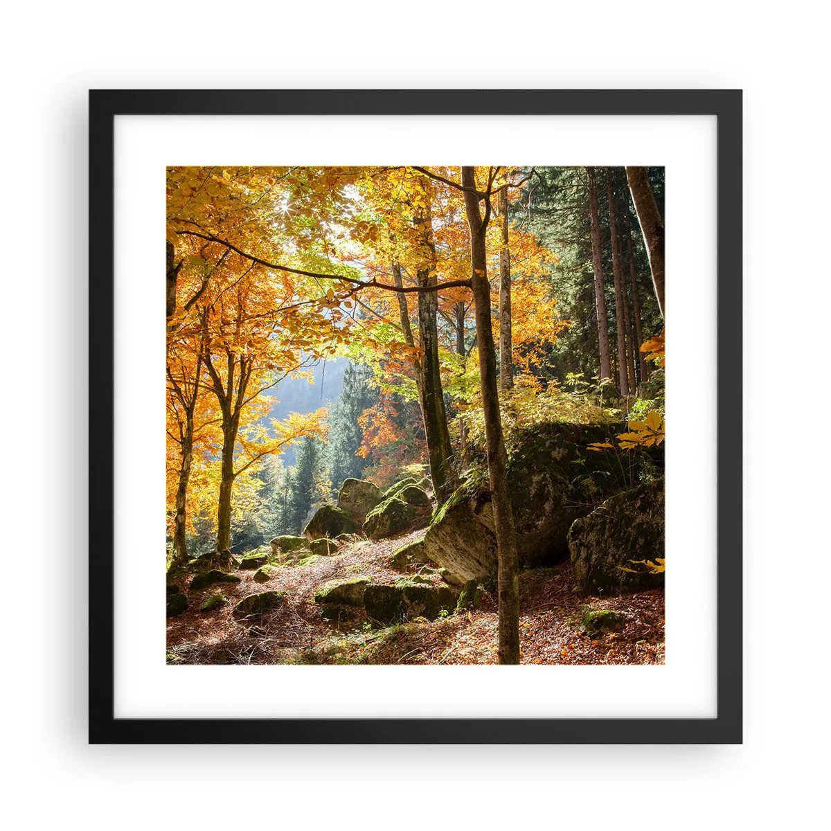 Poster in black frame - Time for Rest - 40x40 cm