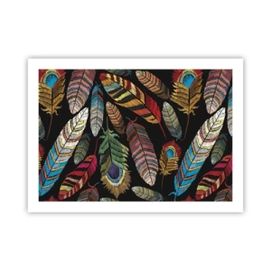 Poster - Bird Carnival - 70x50 cm