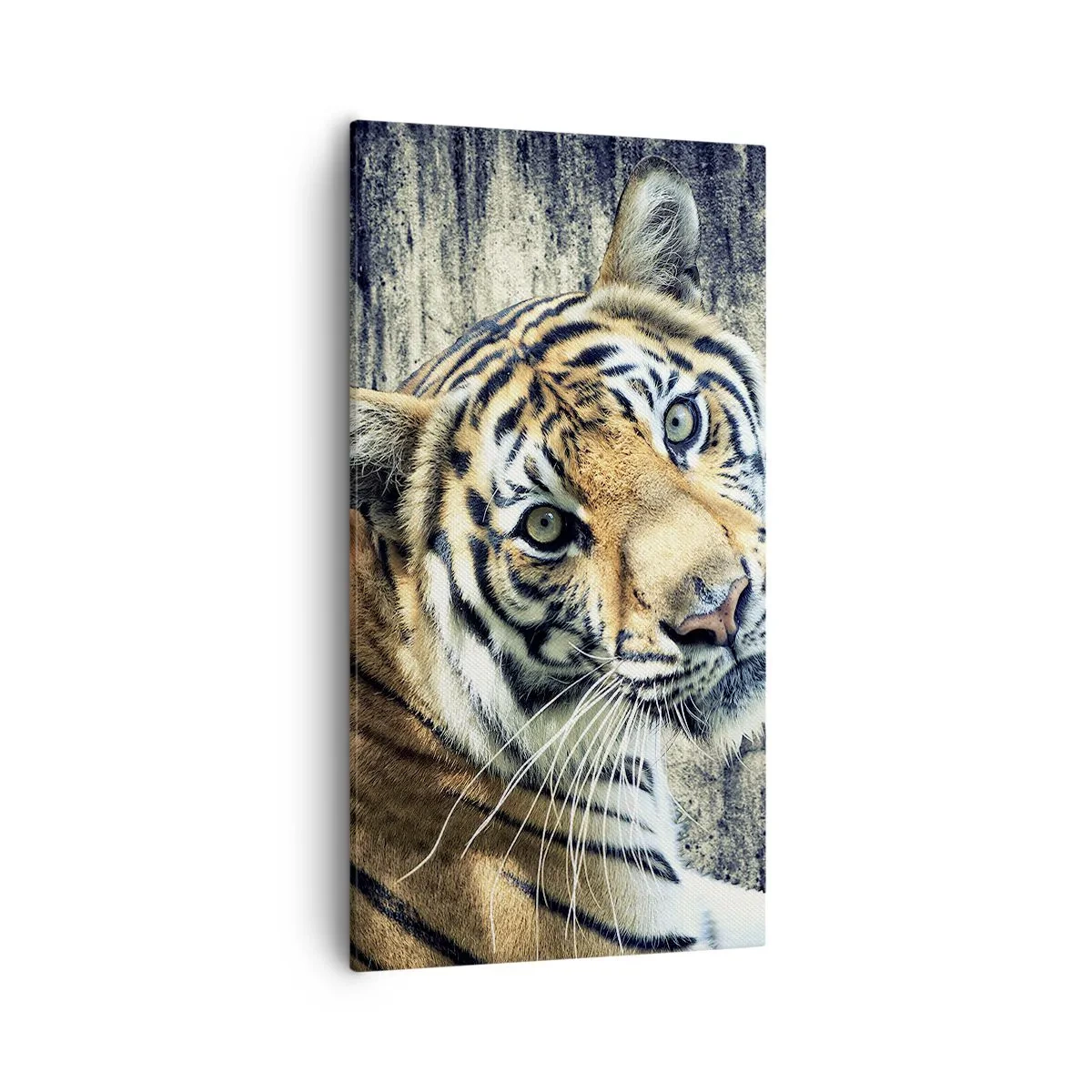 Canvas picture - Portrait in Rays of Light - 55x100 cm