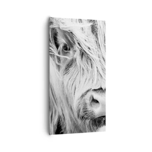 Canvas picture - Scottish Wilderness - 65x120 cm