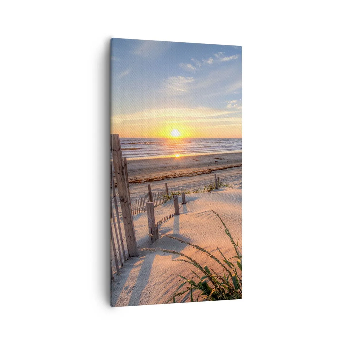 Canvas picture - Light and Shade of the Wind - 55x100 cm