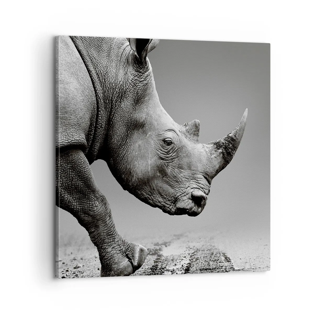 Canvas picture - Uncontrolled Power - 60x60 cm