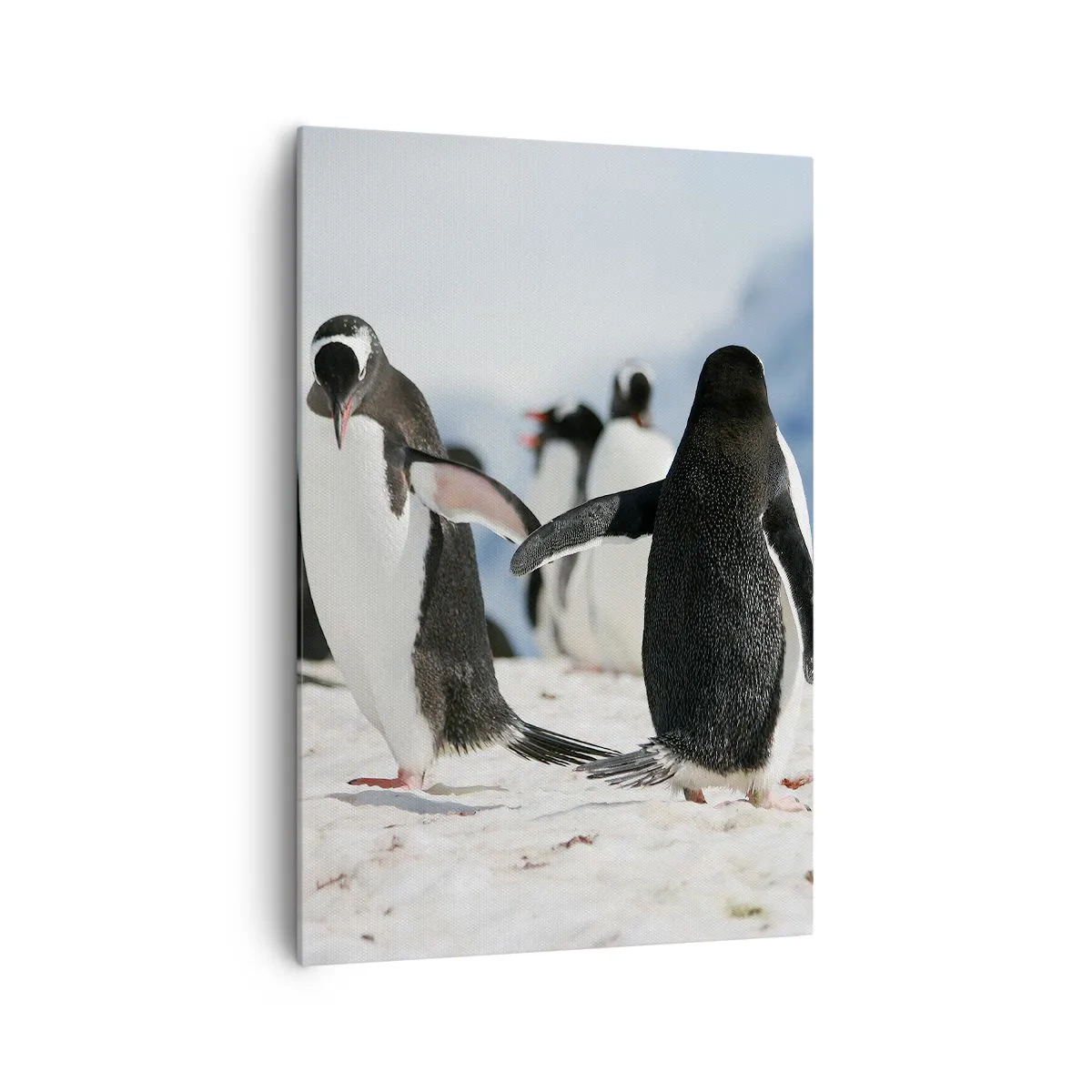 Canvas picture - Dance in the Snow - 70x100 cm