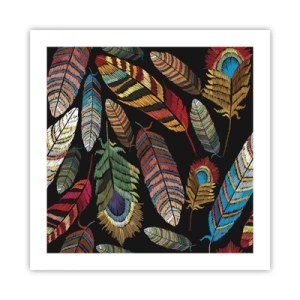 Poster - Bird Carnival - 50x50 cm