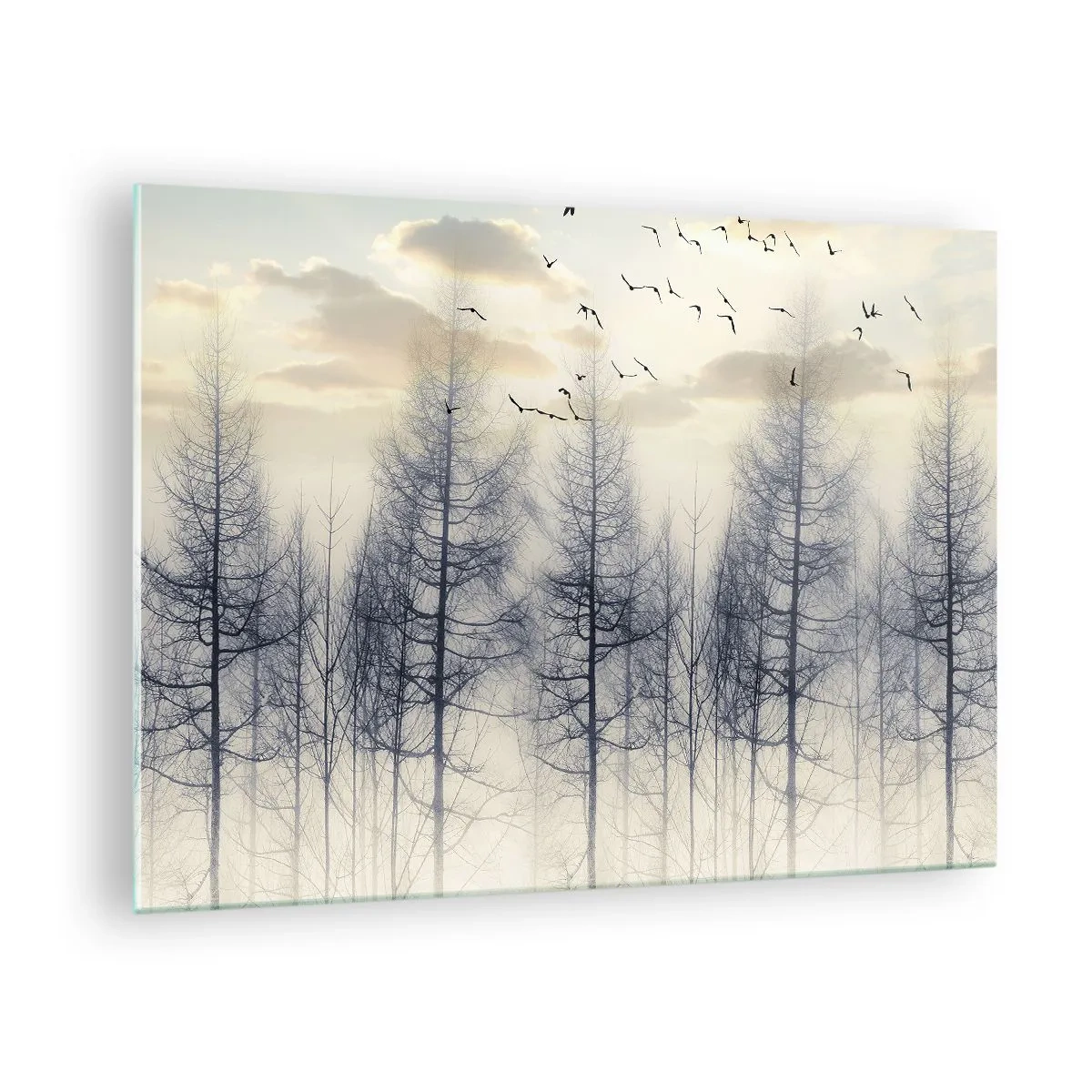 Glass picture - A misty forest with birds, illuminated by the rising sun - 70x50cm - Spirits of the Forest - Modern wall decoration for the living room and bedroom ARTTOR