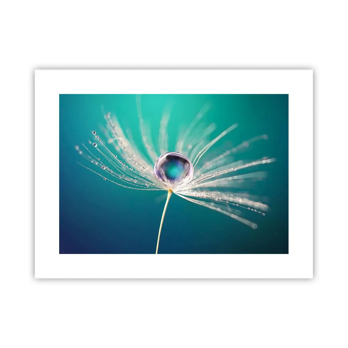 Poster - Mystical Moment - 40x30 cm