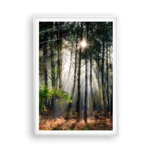 Poster in white frmae - Woodland Area - 70x100 cm