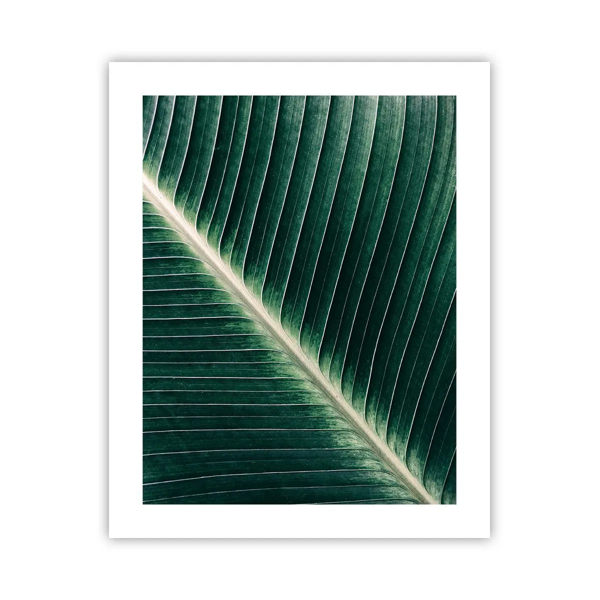 Poster - Rhythm of Nature - 40x50 cm