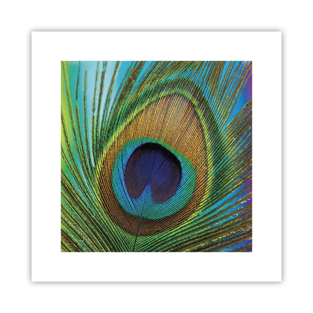 Poster - Eye to Eye - 30x30 cm