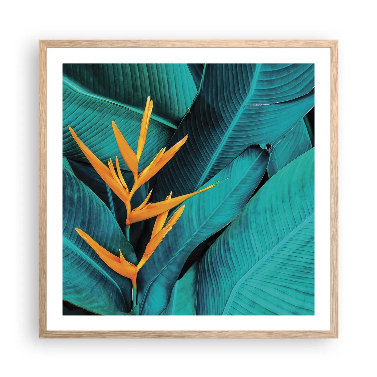 Poster in light oak frame - Flower of Eden - 60x60 cm