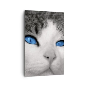 Canvas picture - Extremely Blue-eyed - 80x120 cm