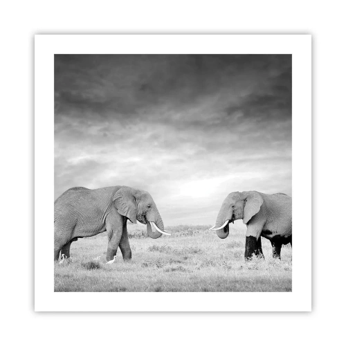 Poster - Grey Is Beautiful - 50x50 cm