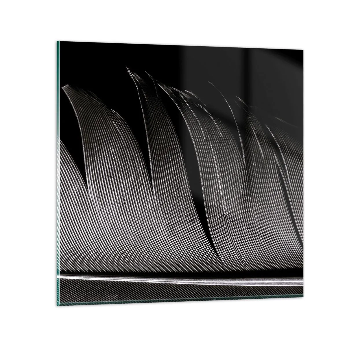 Glass picture - Feather - Wonderful Constract - 50x50 cm