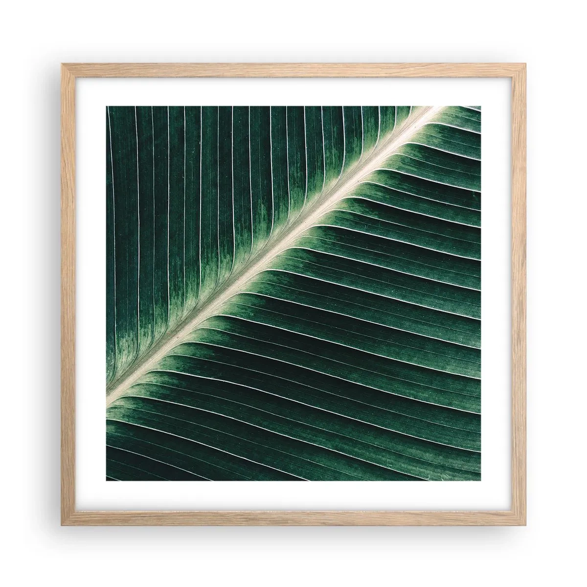 Poster in light oak frame - Rhythm of Nature - 50x50 cm