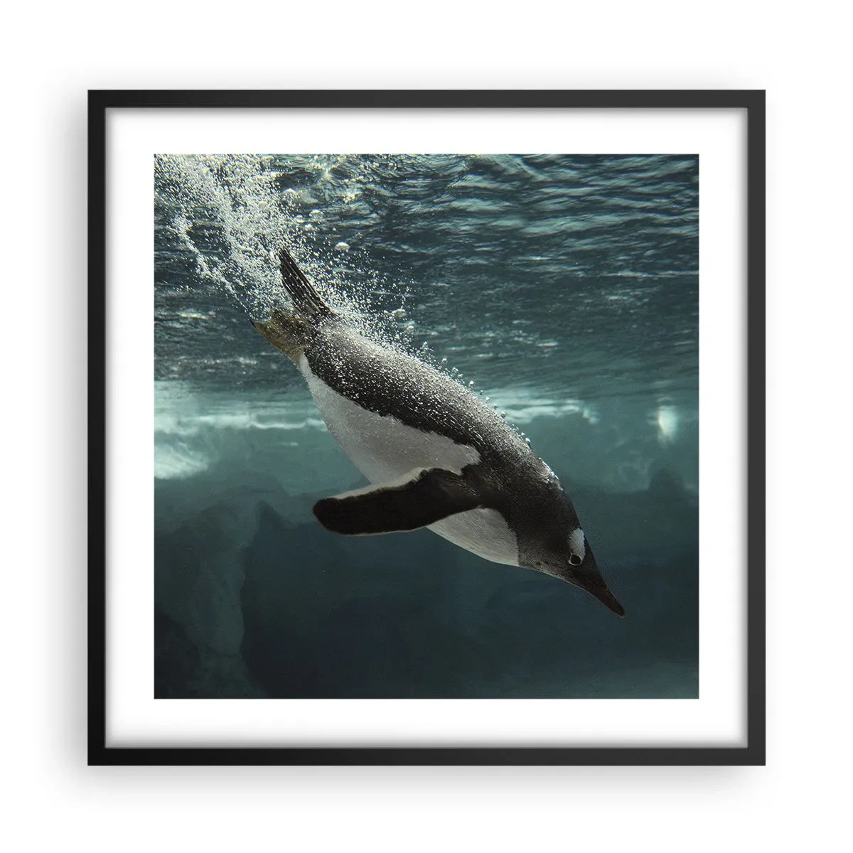 Poster in black frame - Welcome to My World - 50x50 cm