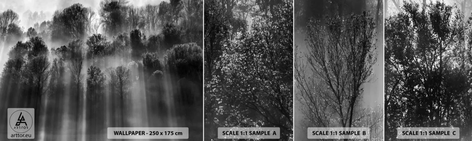 Photo Wallpaper Sample Standard Eco - In the Streams of Light - Landscape, Forest, Black and white - 100x30 cm