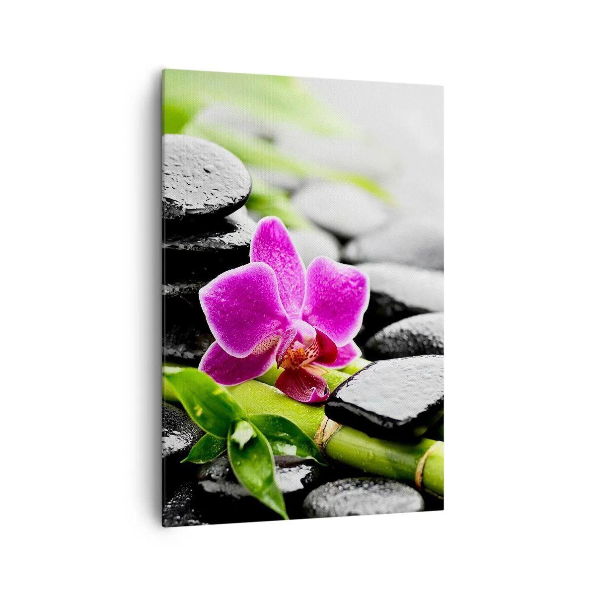 Canvas picture - In a Peaceful Balance - 70x100 cm