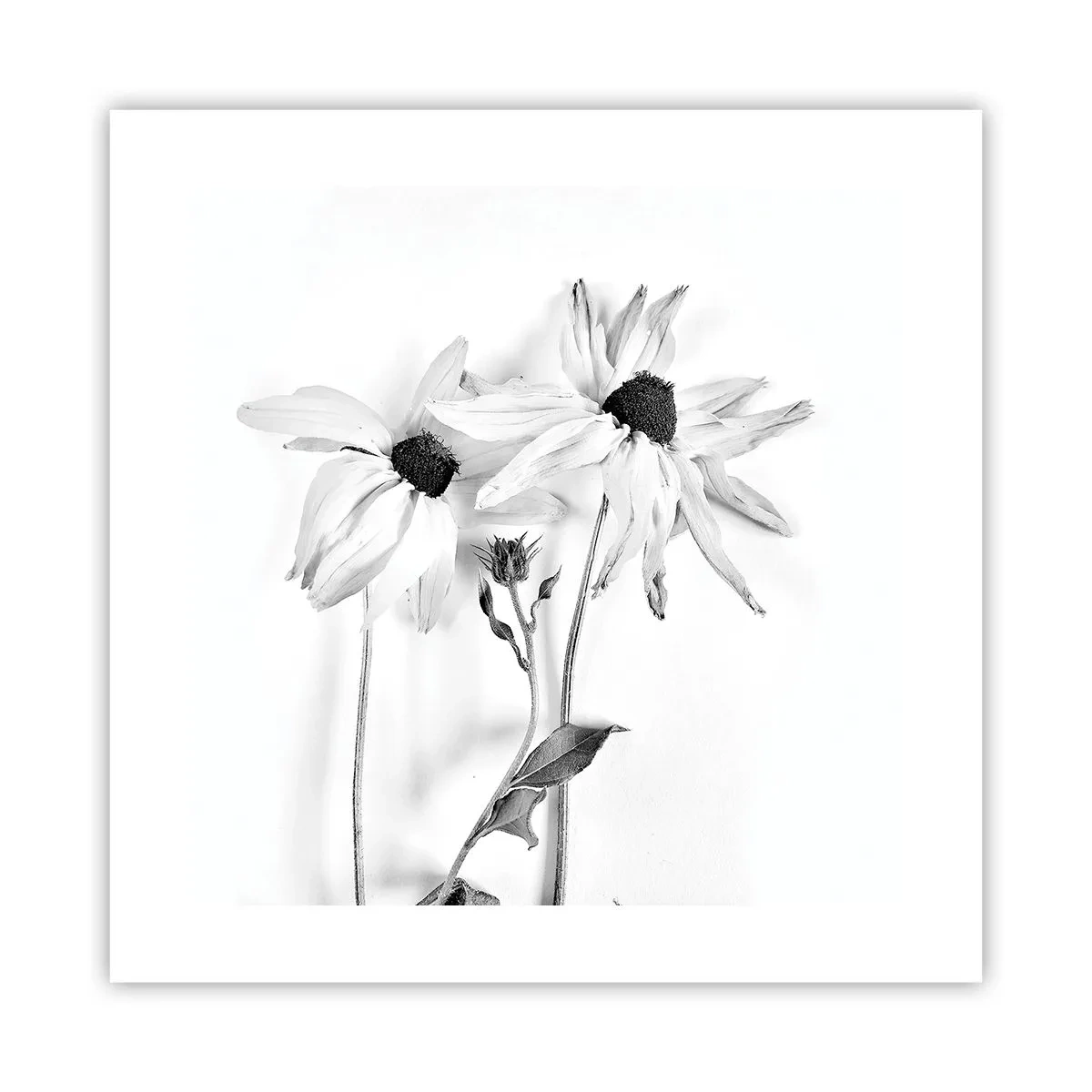 Poster - No one Wants To Be Alone - 40x40 cm